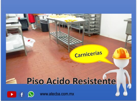 EMPRESAS PLANTAS PROCESADORAS DE CARNE