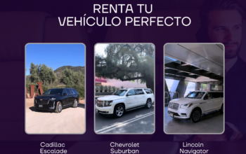 Renta de Autos Ejecutivos