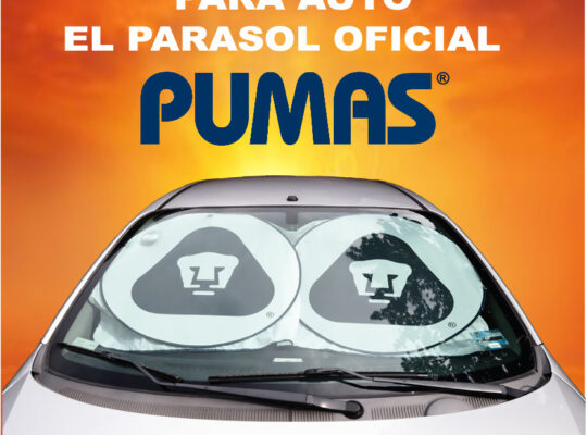 PARASOLES PARA AUTO PERSONALIZADOS CON TU LOGOTIPO